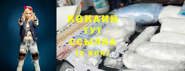мет Надым