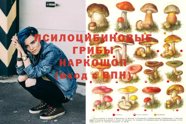 дмт Наволоки
