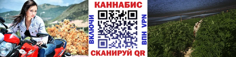 Купить где  Грязовец  Конопля White Widow 